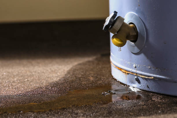 Best Sewage cleanup and water damage restoration  in La Paloma, TX