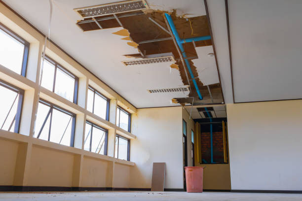Carpet water damage restoration in La Paloma, TX