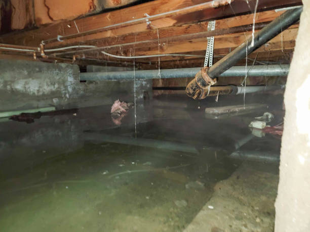 Best Commercial water damage restoration  in La Paloma, TX