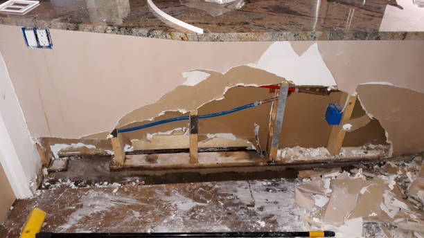 Best Flooded house restoration  in La Paloma, TX