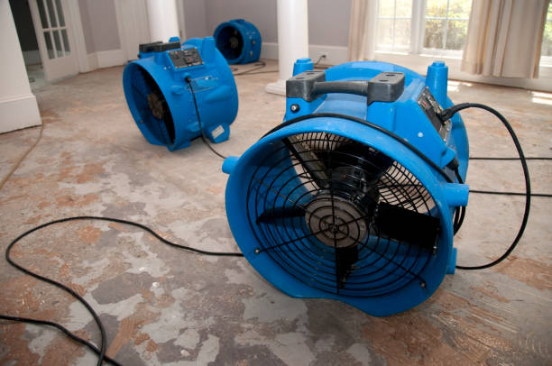 Best Flood damage cleanup  in La Paloma, TX