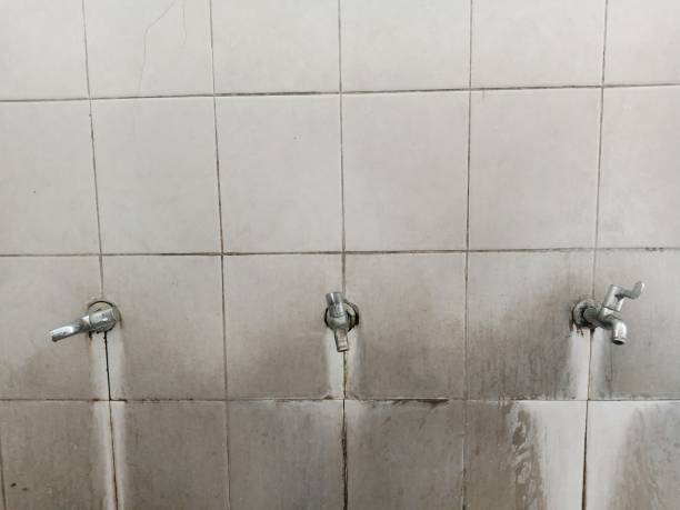 Reliable La Paloma, TX Water damage restoration Solutions