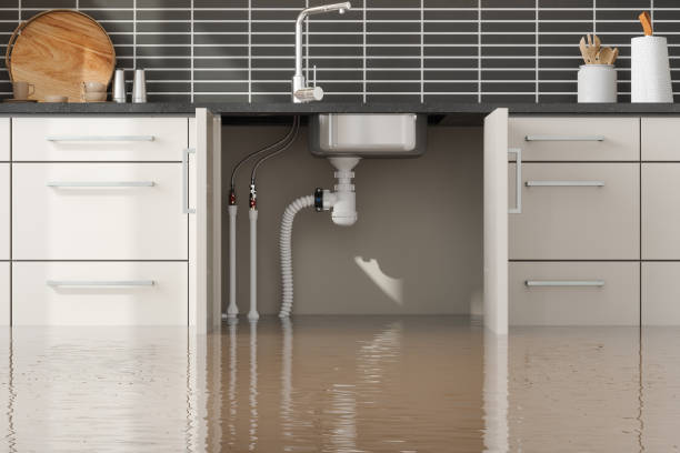 Best Basement water damage restoration  in La Paloma, TX