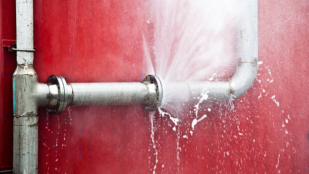 Best Water damage restoration near me  in La Paloma, TX